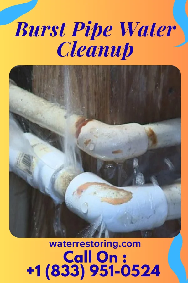 Burst Pipe Water Cleanup in Sugar Notch, PA