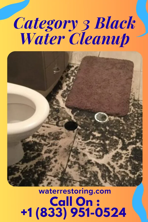 Category 3 Black Water Cleanup in Sugar Notch, PA