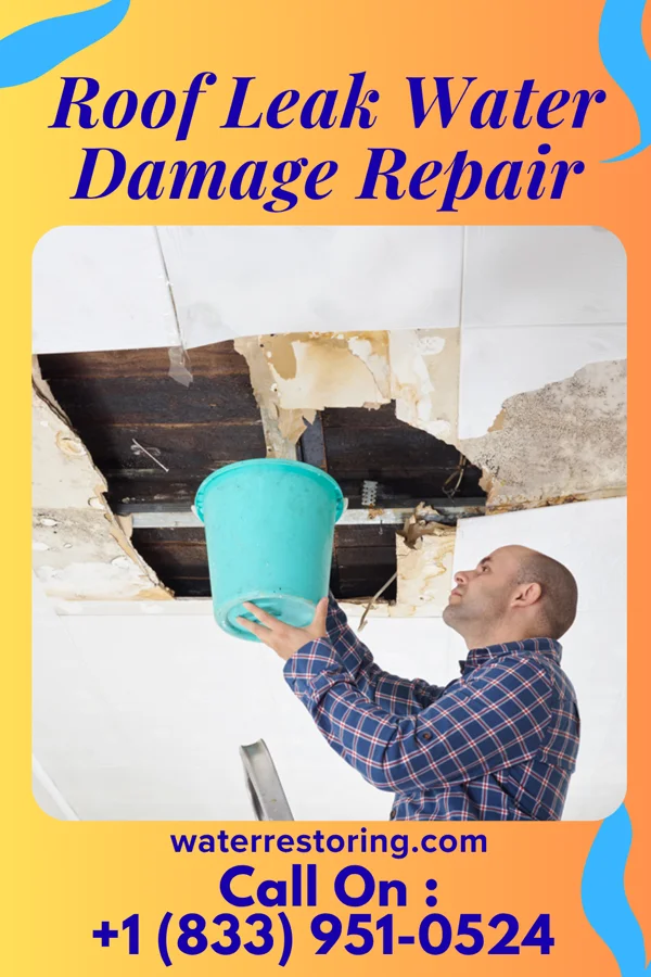 Roof Leak Water Damage Repair in Sugar Notch, PA
