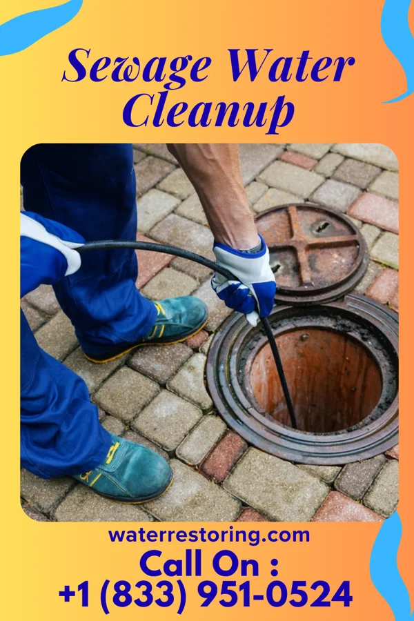 Sewage Water Cleanup in Sugar Notch, PA