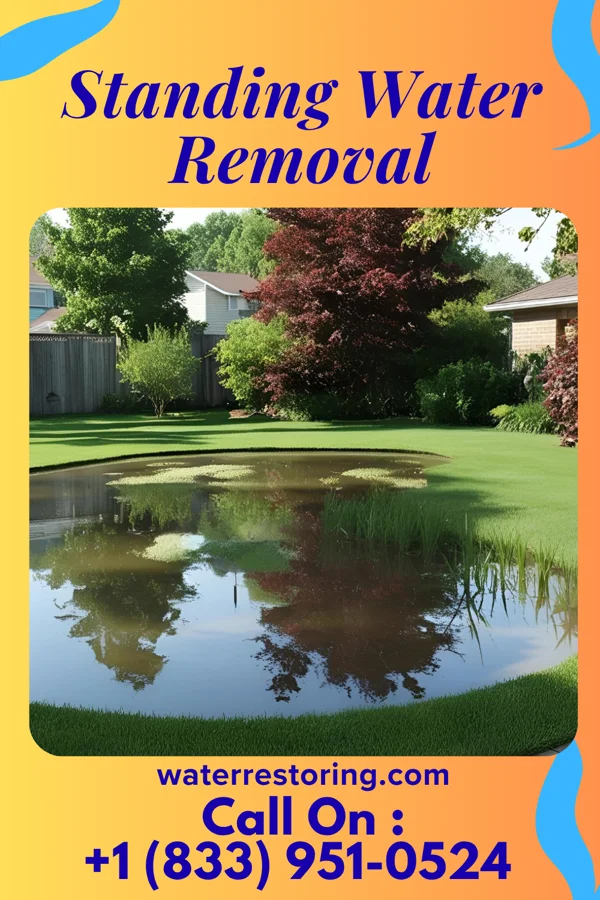 Standing Water Removal in Sugar Notch, PA